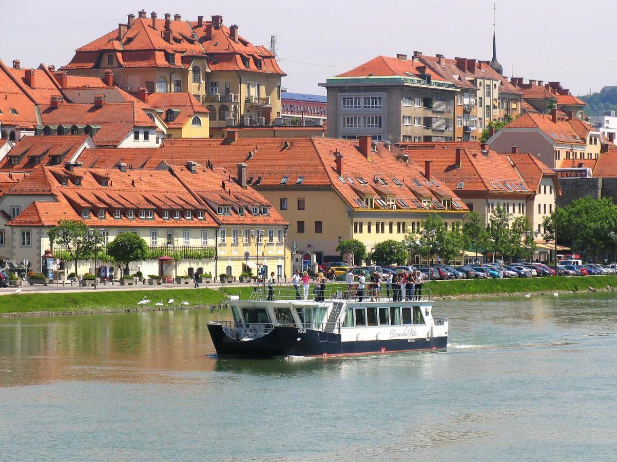 Bolfenk Apartment Hočko Pohorje Dış mekan fotoğraf